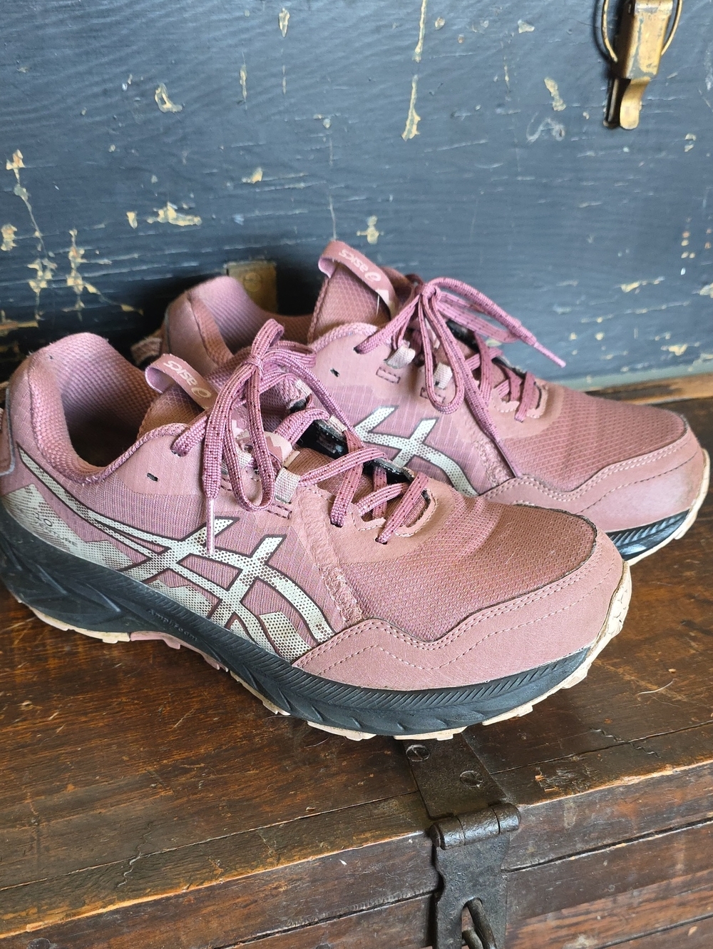 ASICS Women's Dark Pink Running Sneakers